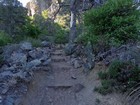 Plenty of interesting vegetation along the way.