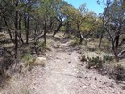 East Rim Trail south of Townsend Point.