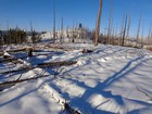 Nearing the summit of East Fisher Creek Peak.