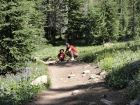 Taking a break in the wildflowers.