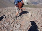 Flipping rocks looking for moths.