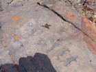 Crazy flying insects on the summit of Francs Peak.