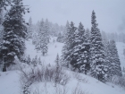 The lower slopes of Freeman Peak's southeast ridge.