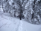 Here's John finishing off the steep section just before we made it up to the ridgeline.