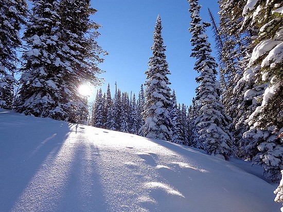 Winter Scene on Frenchman Peaks