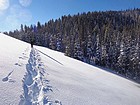 Traversing open hillside.