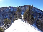 Small ridge to cross before re-entering the trees.