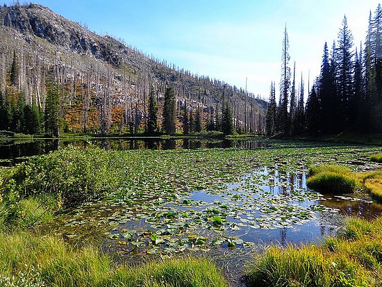 Frog Lake