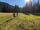 Crossing a meadow.