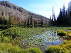 Aptly named Frog Lake.