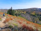 Artist pallet of colors on the way back to the trailhead.