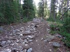 Old mine road at start of hike.