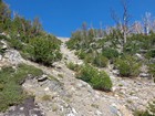 Descending the gully.