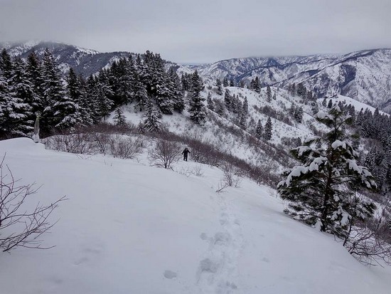 Nearing the summit of Gallagher Peak