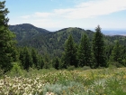 View of Boise Peak and Treasure Valley from the trail.