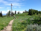 One of several meadows we passed through.