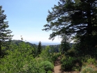 View of the valley on the way back.