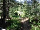 Hiking through the forest.