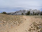 Crest on the ridge before dropping down to Gaylor Lake.