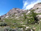 Looking up into the north face cirque of Mount Gilbert.