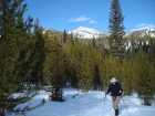 Down on the flats, with Gladiator Peak in the background.