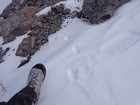 Coyote tracks on the ridge tell us we aren't the first visitors this year.