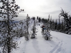 Winter scene on the Goat Mountain ridge.