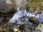 Ice starting to form in the creek.