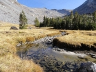 Creek meandering through the tundra.