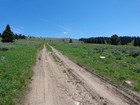 View up the jeep road at start of the hike.