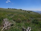 View toward Graham Peak.