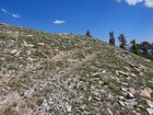 Nearing the summit of Graham Peak.