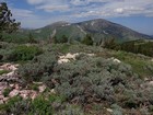 Independence and Cache from Stines Peak.