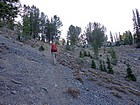 On the trail, nearing Galena Gulch saddle.