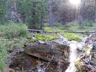 The creek bottom near the start of the hike.