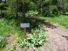 Grand View Point trailhead.