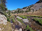 Hiking along Sky Top Creek.