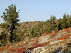 A view of the lookout of the west summit of Granite Mountain.