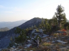 Looking towards the east summit from the lookout.