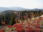 This is a nice meadow south of the trail on the way back to the trailhead.