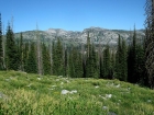 A view of Bruin Mountain.