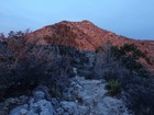 Sunrise alpenglow on Guadalupe Peak