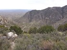 Trail switch backing down to Pine Springs.