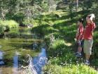 Watching fish in the creek.