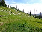 Great views while traversing across the hillside.