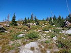 Nearing the broad summit of Hard Creek Peak.