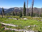 Typical terrain on the way back down to the trailhead.