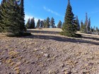 Nearing the summit of Turntable Mountain.