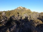 View toward the summit of Scotch Bob Peak.