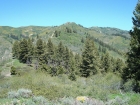 Looking up the ridge, with the summit way off in the distance.